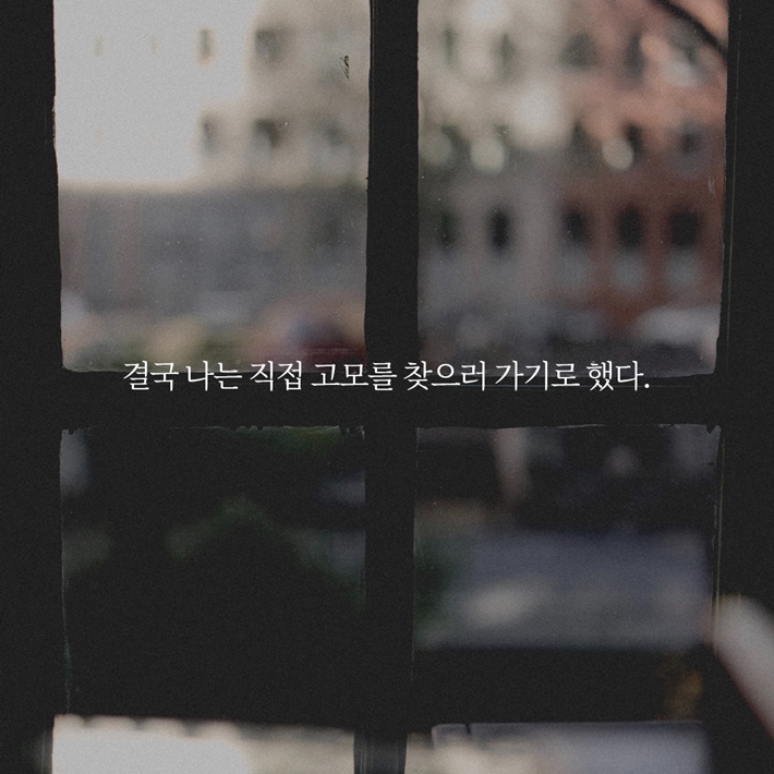 카드뉴스6