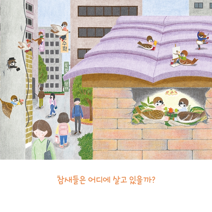 카드뉴스5