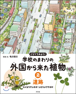 學校のまわりの外國から來た植物   2