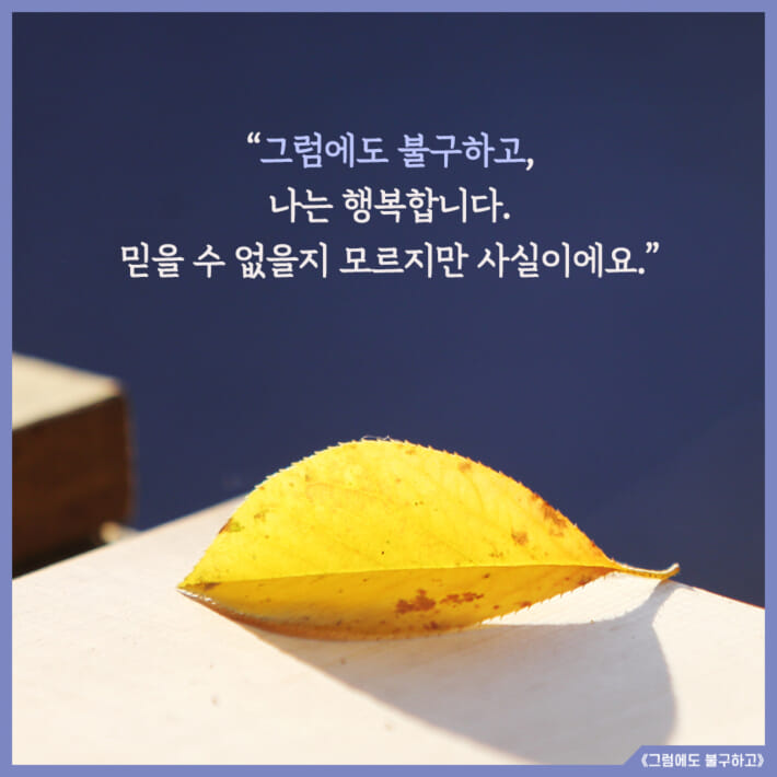 카드뉴스4