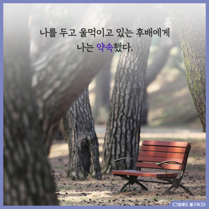 카드뉴스7