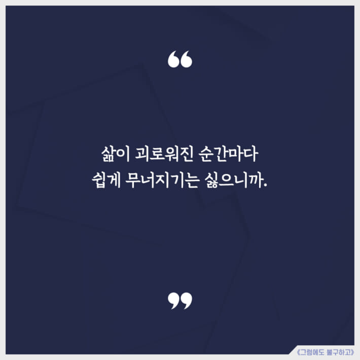 카드뉴스11
