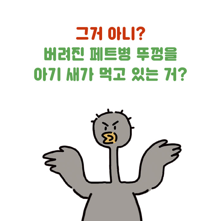 카드뉴스3