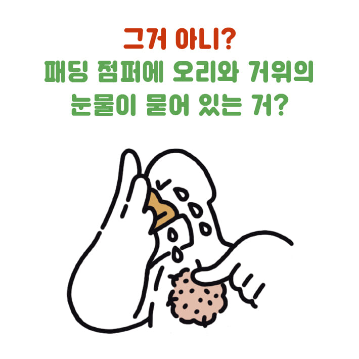 카드뉴스4