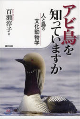 アビ鳥を知っていますか 人と鳥の文化動物學