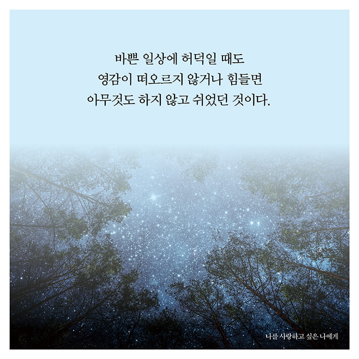 카드뉴스6
