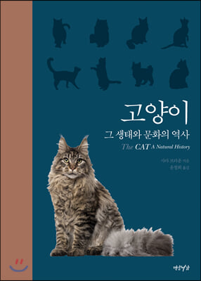 고양이