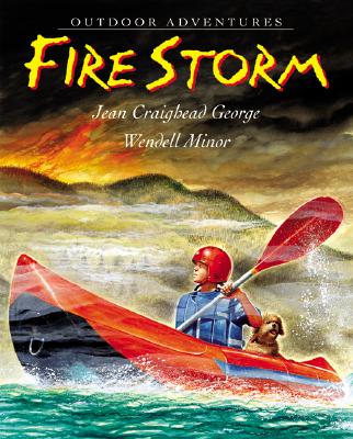 [중고] Fire Storm