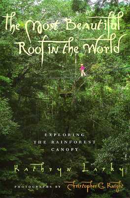 The Most Beautiful Roof in the World: Exploring the Rainforest Canopy (Paperback)