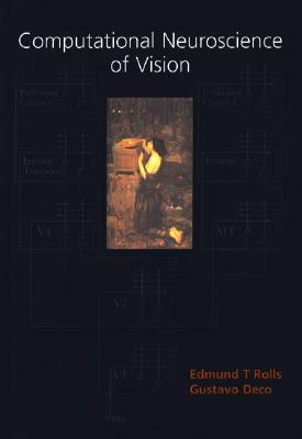 Computational Neuroscience of Vision