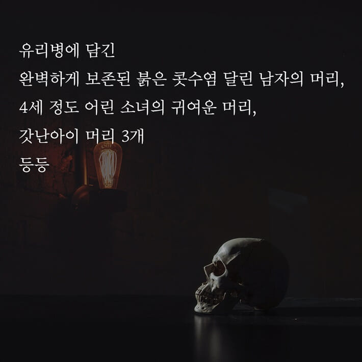 카드뉴스3