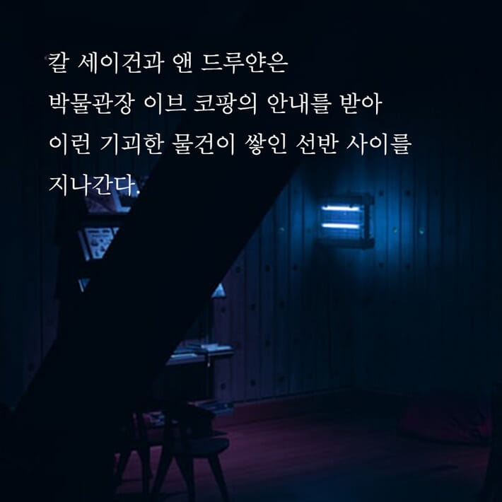 카드뉴스4