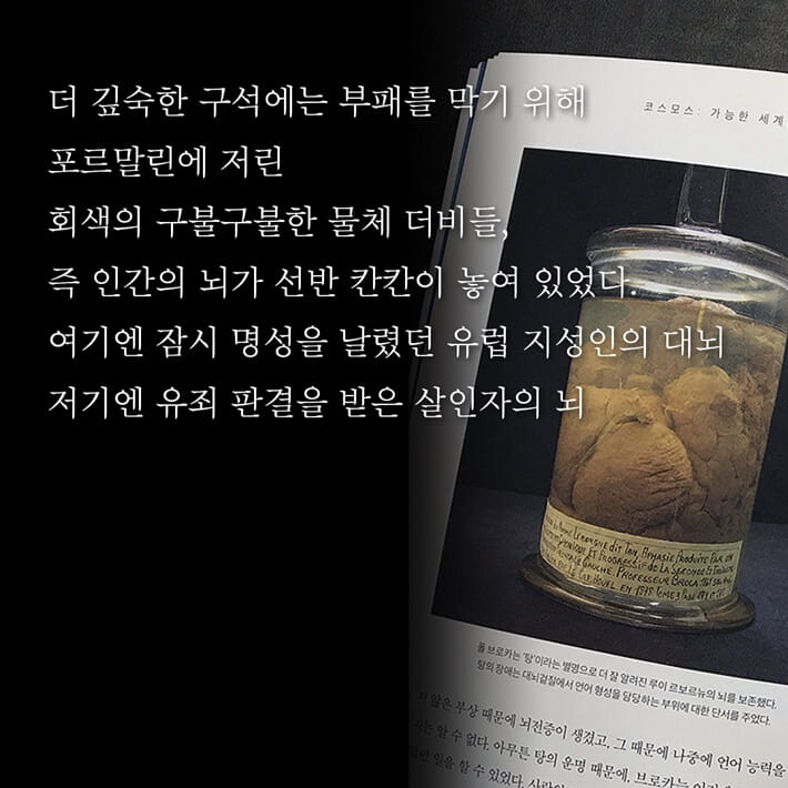 카드뉴스5