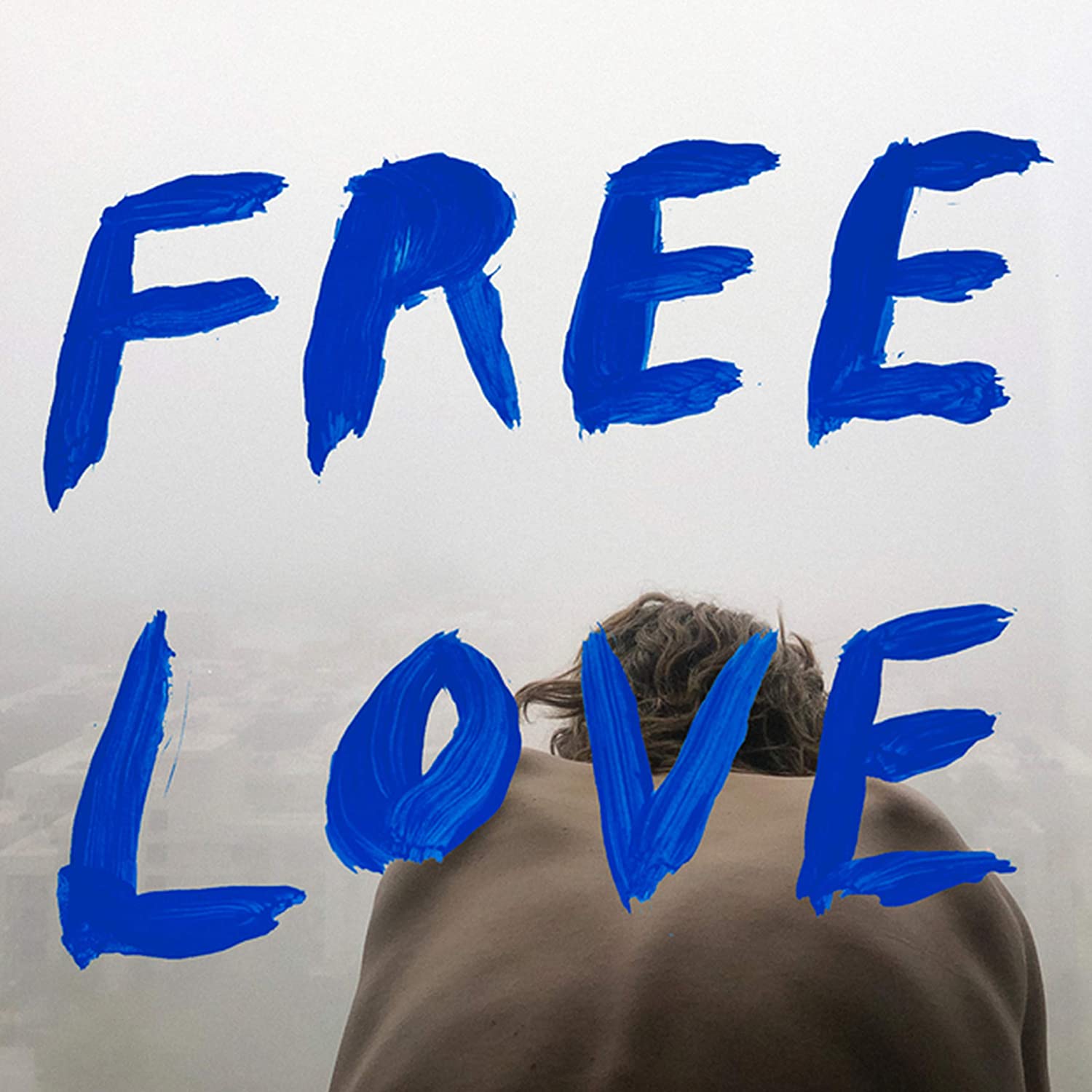 Sylvan Esso (실번 에소) - Free Love [LP] 