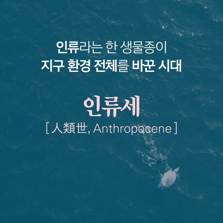카드뉴스6
