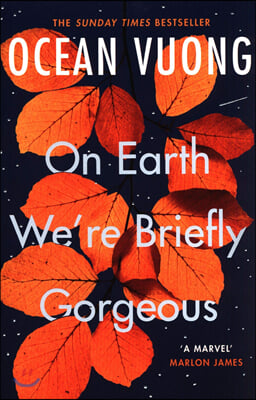 On Earth We&#39;re Briefly Gorgeous : &#39;A masterpiece&#39; - Max Porter (Paperback)