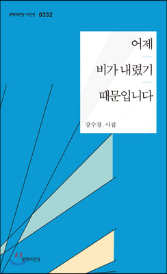 어제 비가 내렸기 때문입니다(문학의전당 시인선 332)