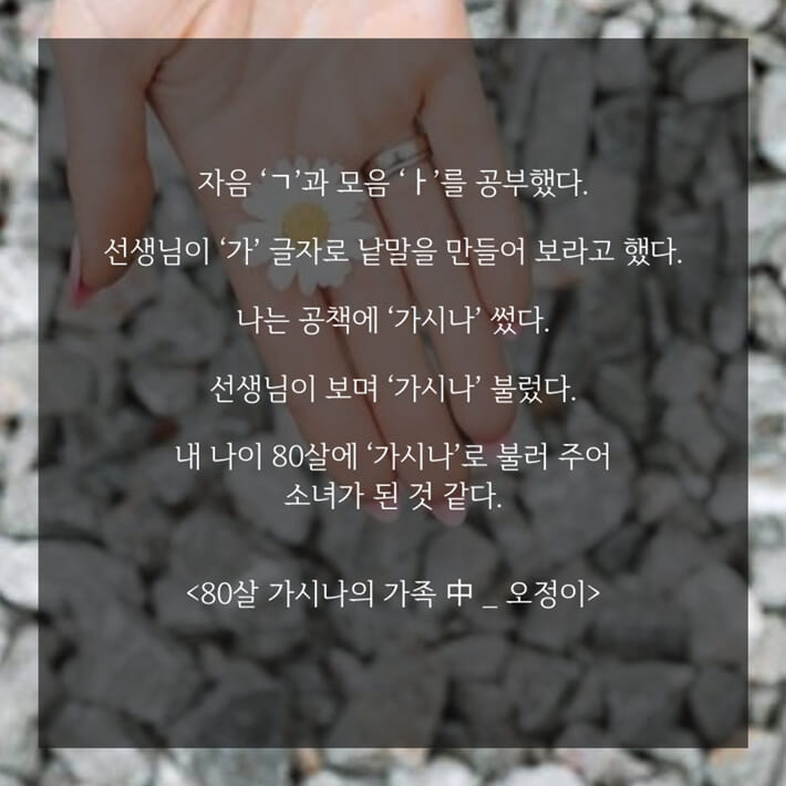 카드뉴스4