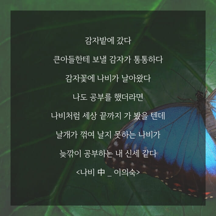 카드뉴스6