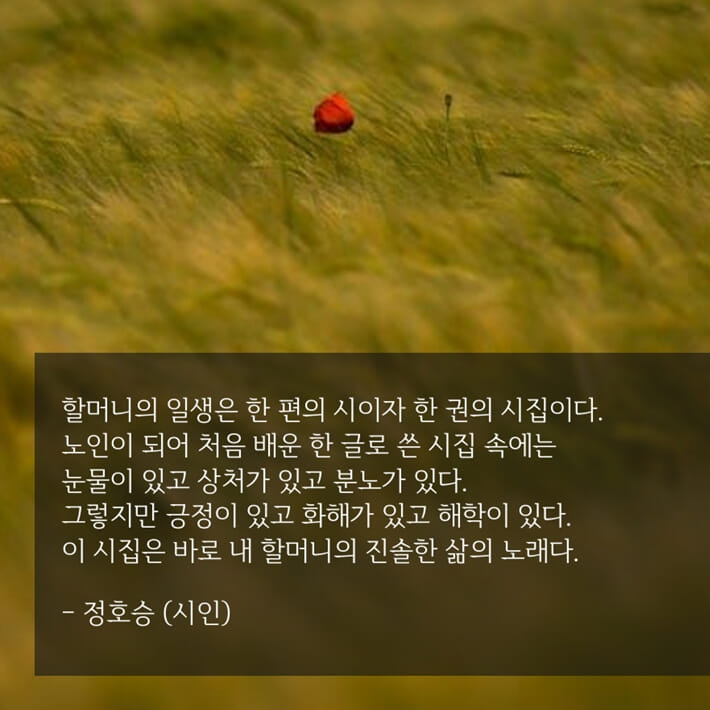 카드뉴스12