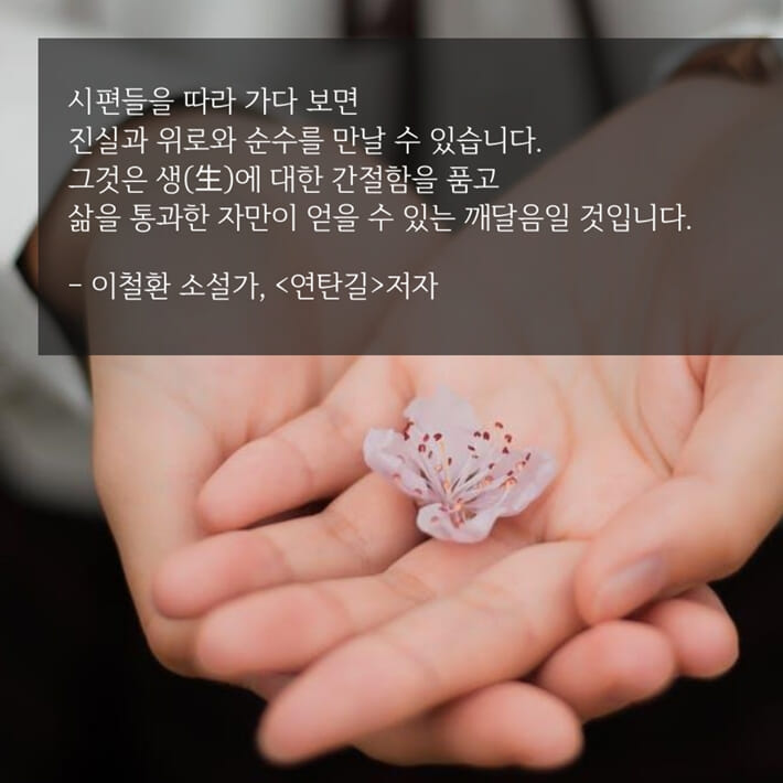 카드뉴스13