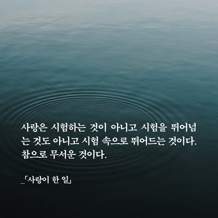 카드뉴스6
