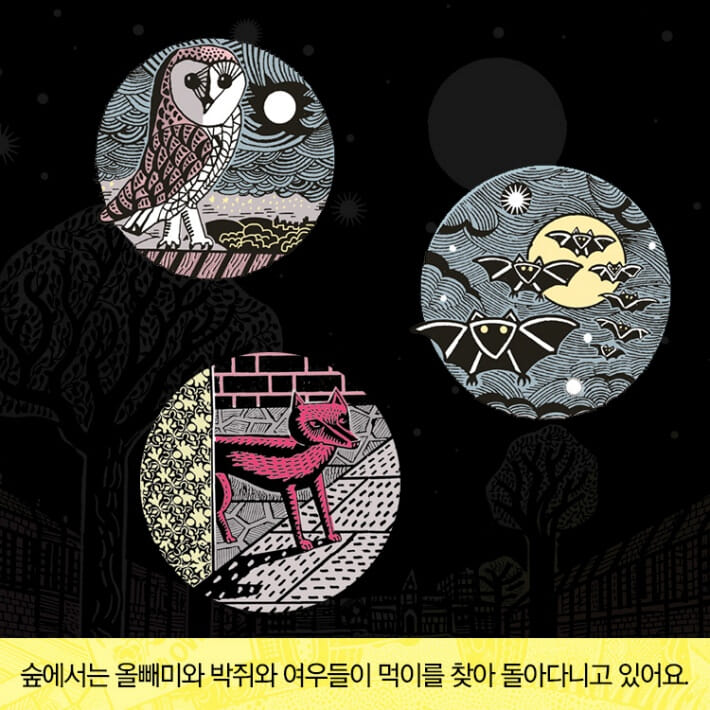 카드뉴스6