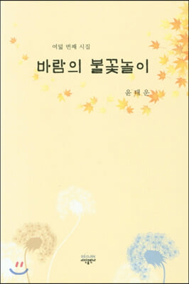 바람의 불꽃놀이