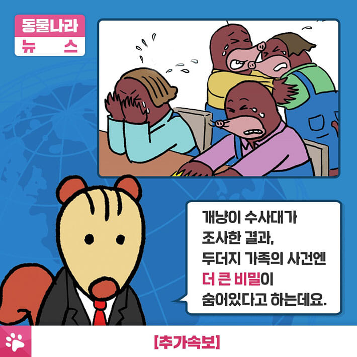 카드뉴스5