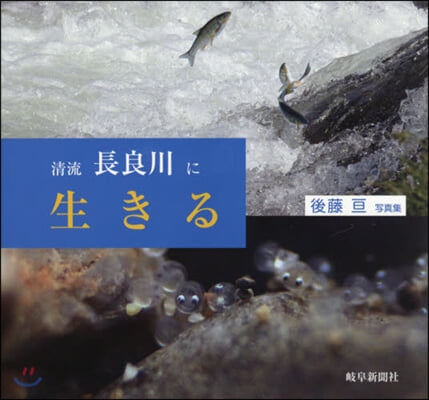 淸流 長良川に生きる