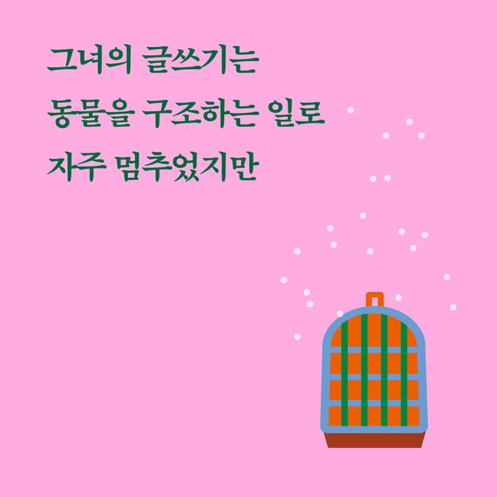 카드뉴스5