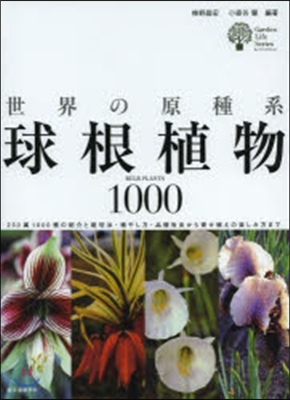 世界の原種系球根植物1000