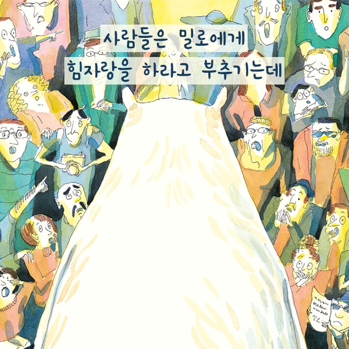 카드뉴스5