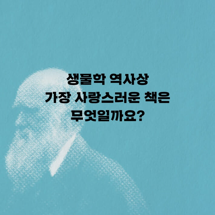 카드뉴스1