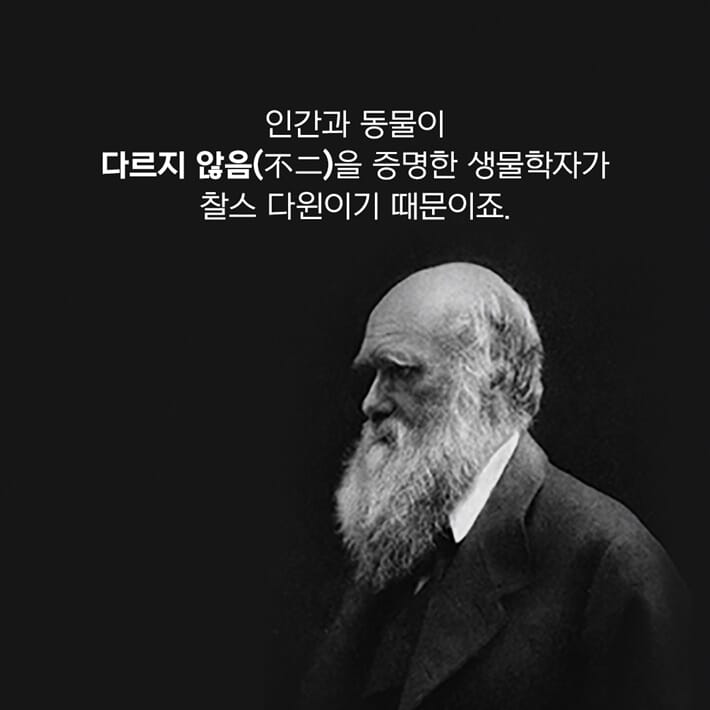 카드뉴스3