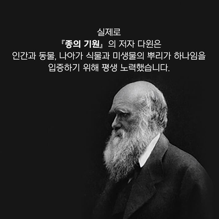 카드뉴스4
