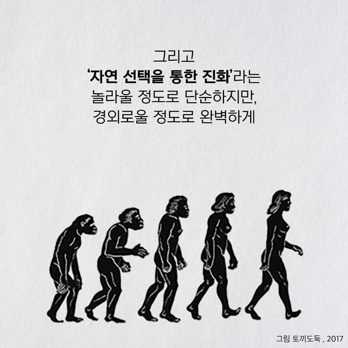 카드뉴스5
