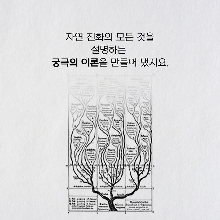 카드뉴스6