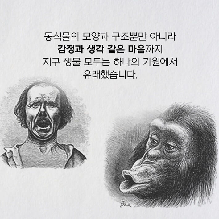 카드뉴스7