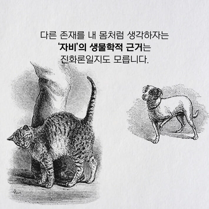 카드뉴스8