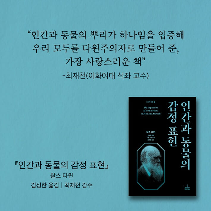 카드뉴스10