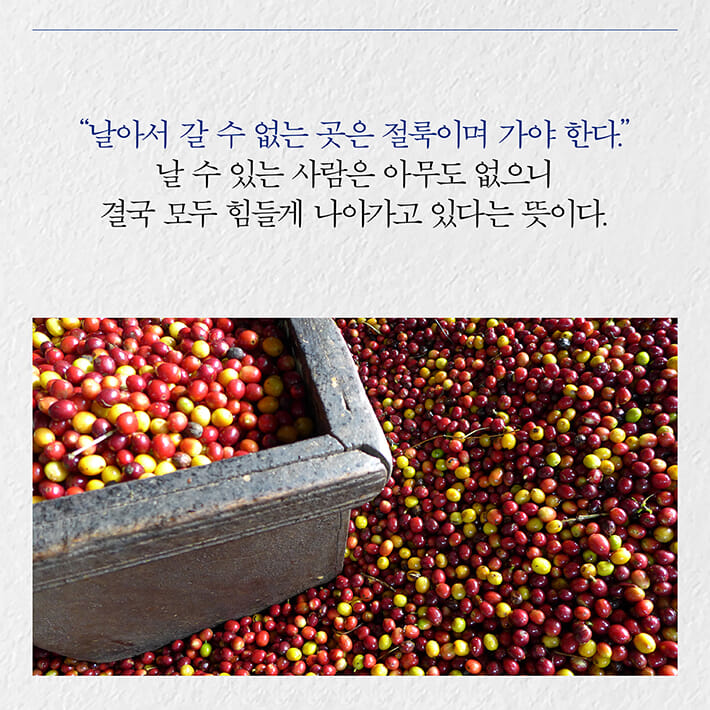 카드뉴스16