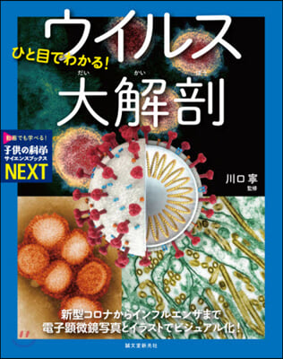 ひと目でわかる!ウイルス大解剖