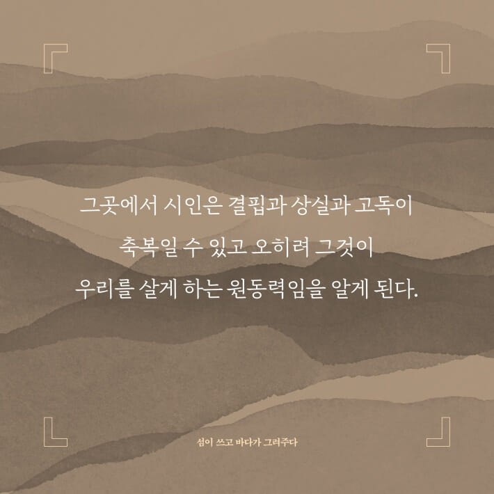카드뉴스5