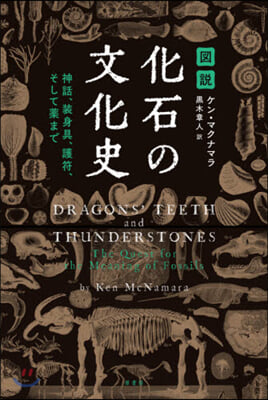 圖說 化石の文化史