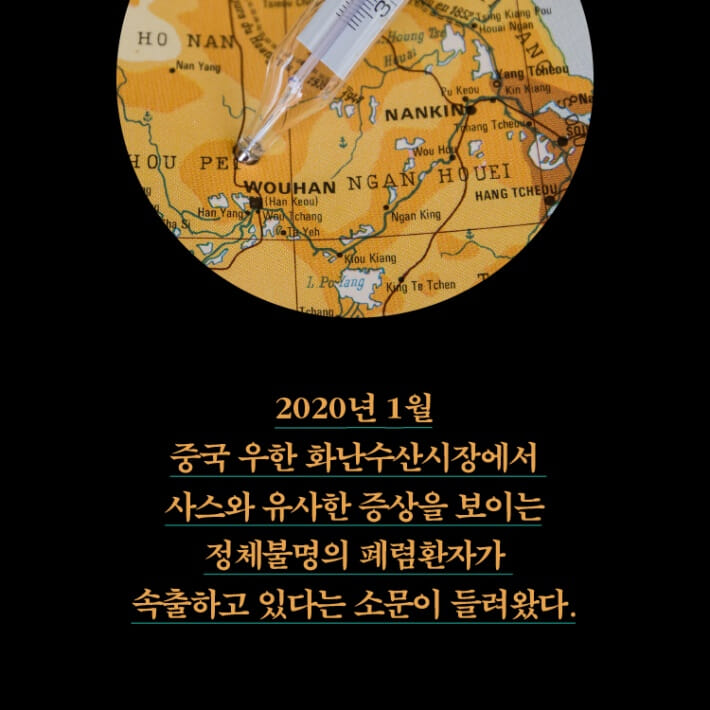 카드뉴스2