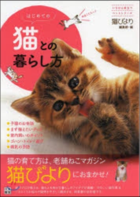 はじめての猫との暮らし方