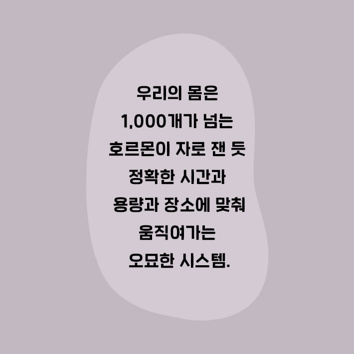 카드뉴스6