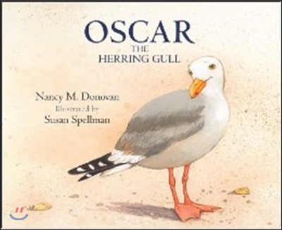 Oscar the Herring Gull