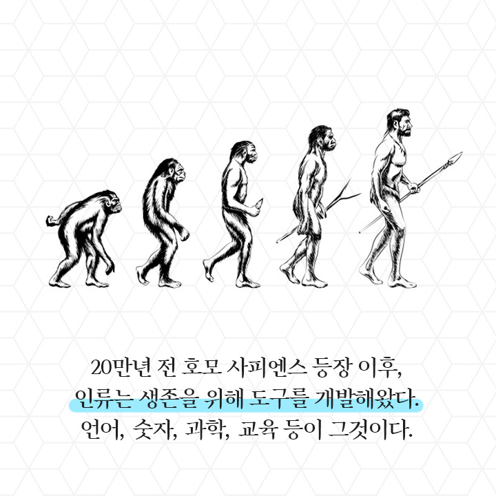 카드뉴스